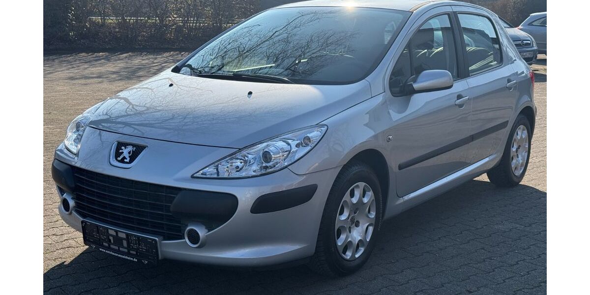 Peugeot 307 66.000 km 4.450 &euro; Rüsselsheim 65428
