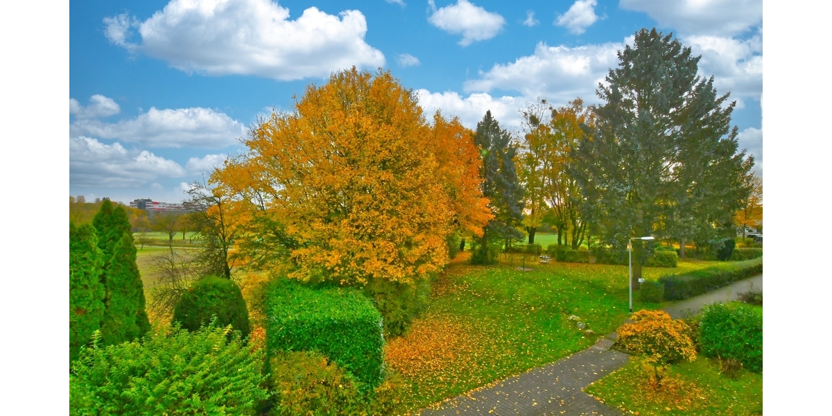 Open House beendet.... keine neuen Besichtigungen! Angebotsverfahren läuft 4 zimmer