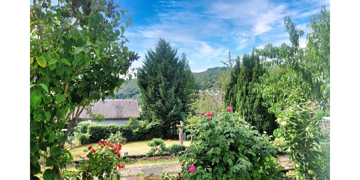 Mehrfamilienhaus mit Bauplatz in Ruppertshain - Mehrfamilienhaus, Wohnhaus Kelkheim | Angebot:23618439