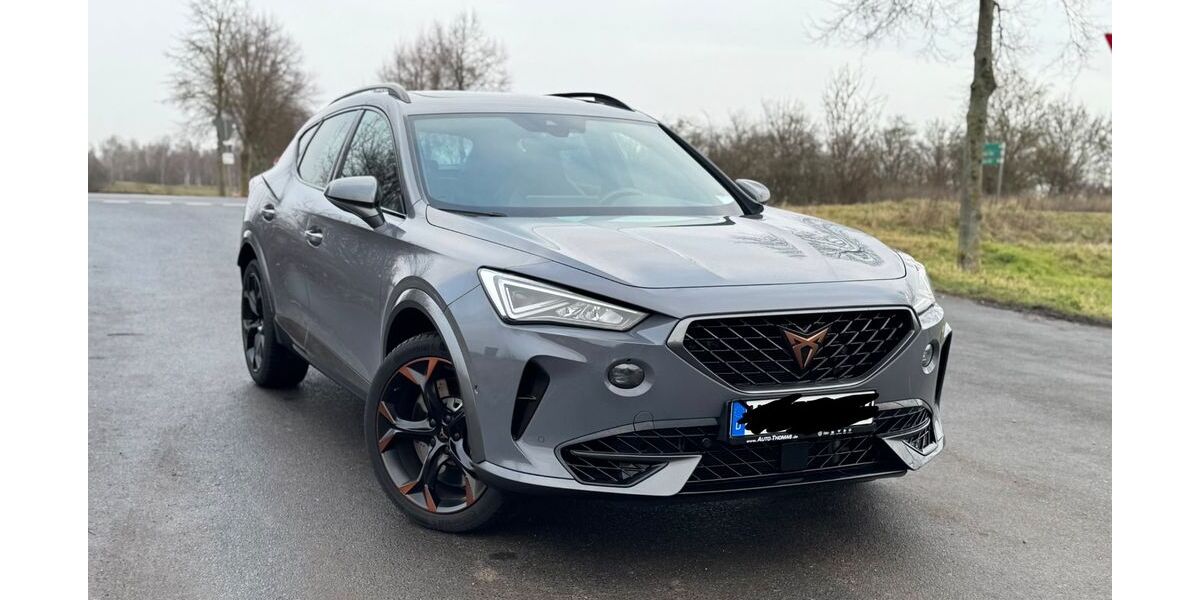 Cupra Formentor 84.500 km 26.500 &euro; Wiesbaden 65205