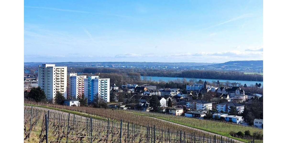 Etagenwohnung Geisenheim - 1 Zimmer, 45 m&sup2;, 175.000&euro; | Angebot:25541399