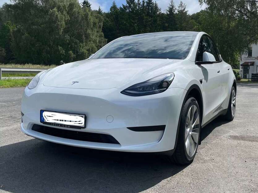Model Y