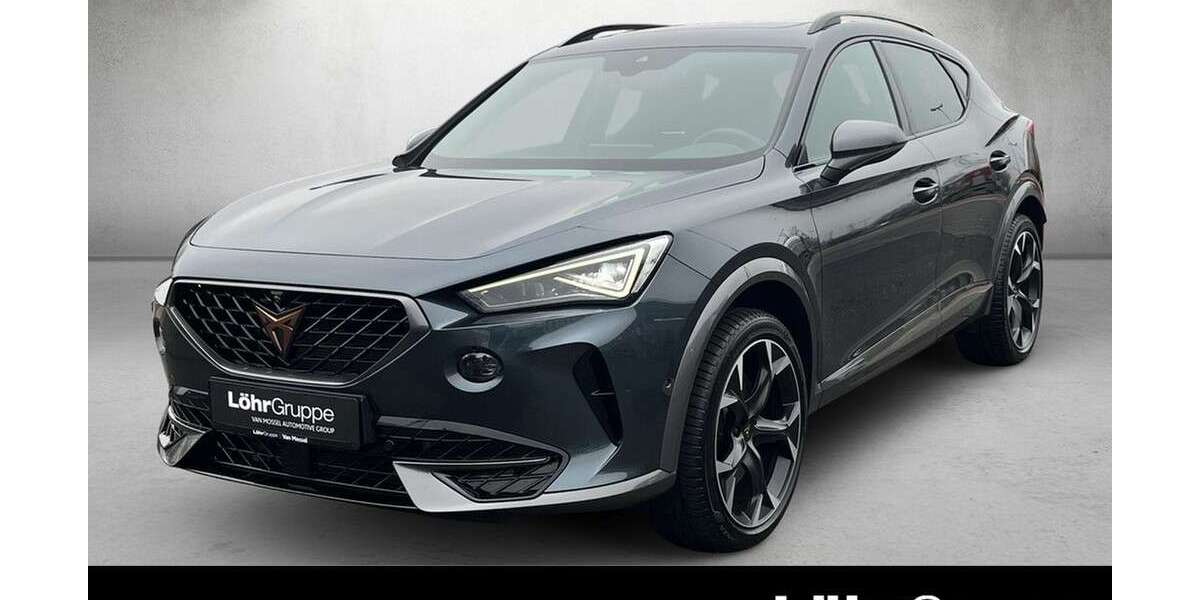 Cupra Formentor 18.222 km 30.480 &euro; Mainz 55120