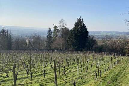 Grundstück zu verkaufen in Wiesbaden Schierstein 99.000 € 1052 m² zimmer