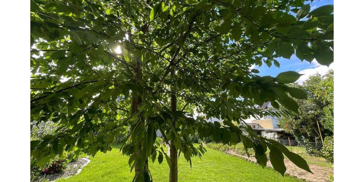 Einfamilienhaus Mörfelden-Walldorf Mörfelden - 6 Zimmer, 180 m&sup2;, 700.000&euro; | Angebot:25690873