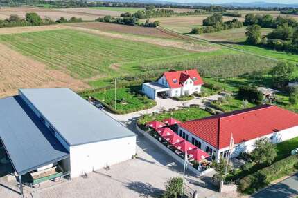 Gastronomie in Wiesbaden 2.800.000 € 1330 m² zimmer