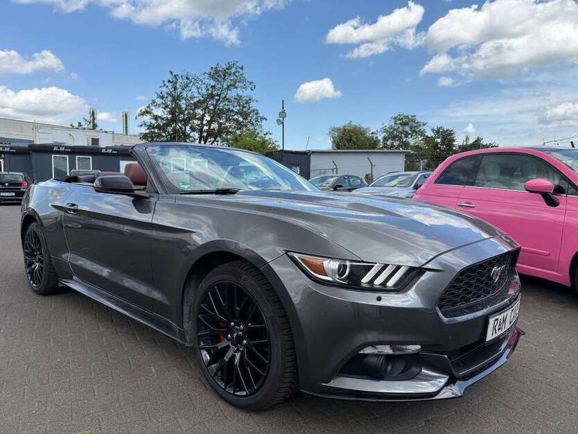 Mustang