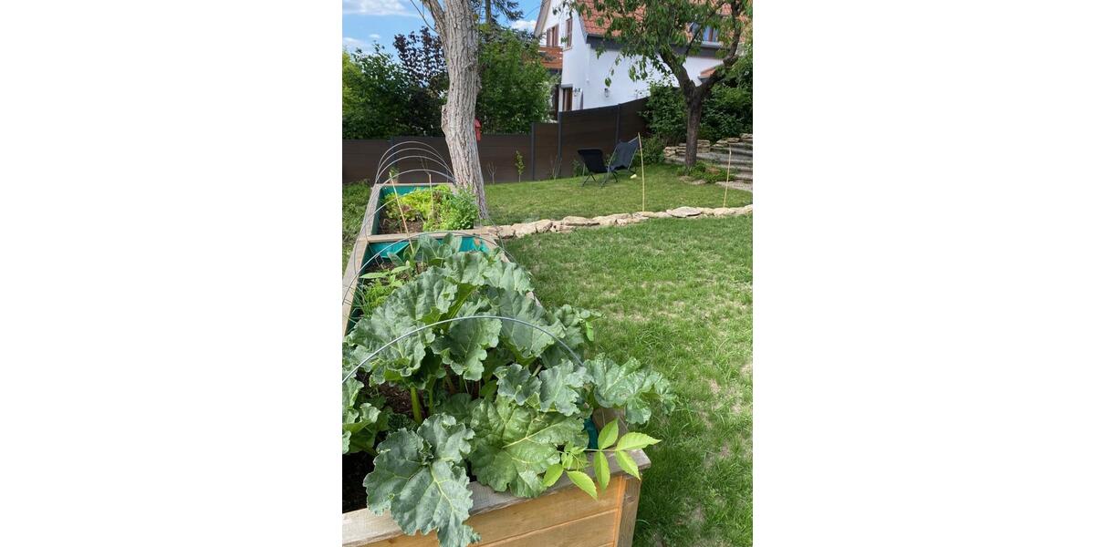 Einfamilienhaus Ingelheim am Rhein - 6.5 Zimmer, 140 m&sup2;, 2.300&euro; | Angebot:25152010